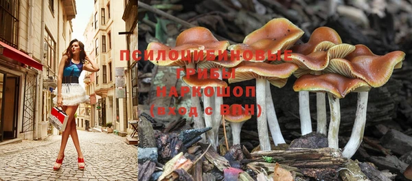 бошки Алексеевка