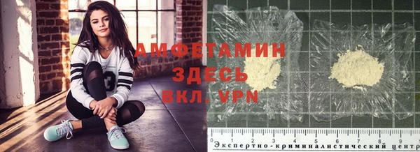 амф Алзамай