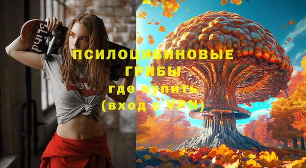 скорость Алексин