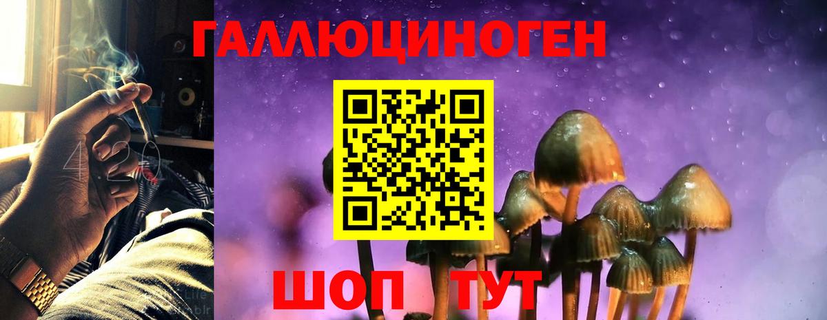 Псилоцибиновые грибы мицелий  Вход с VPN  Арсеньев 